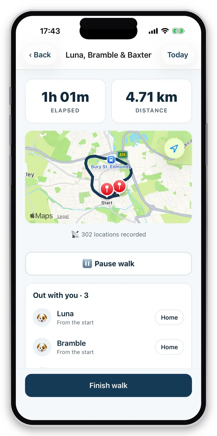 a walk in progress — 1 hour 1 minute elapsed, 4.71 km, the live route, a pause button and the three dogs currently out